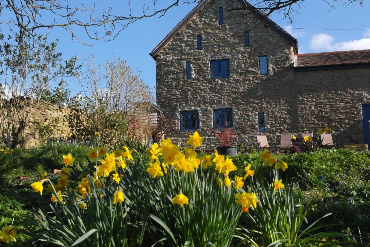 Bed and Breakfast Prospect Barn Hereford Exteriér fotografie
