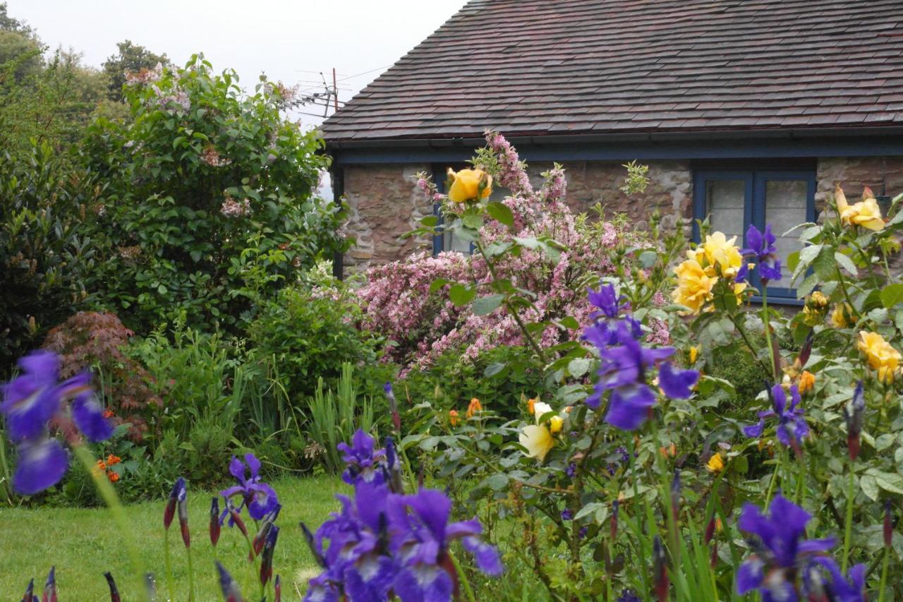 Bed and Breakfast Prospect Barn Hereford Exteriér fotografie