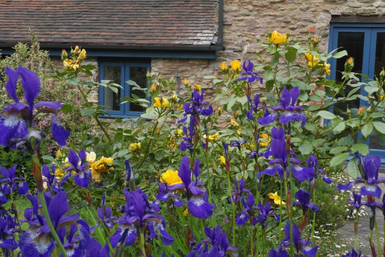 Bed and Breakfast Prospect Barn Hereford Exteriér fotografie